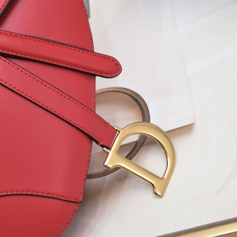 Dior Saddle Bags